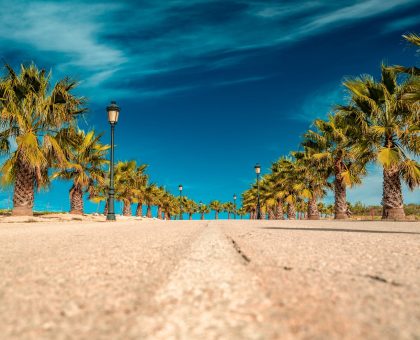 DSC03721-Uvod_1575x1050