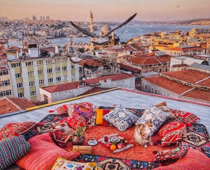 122dce856dea5ed2387e84149468135e