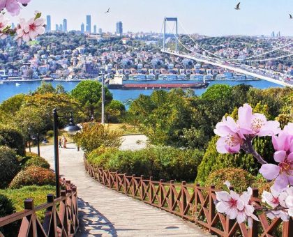 898e64e6f3636461655b6cad59c08dc0