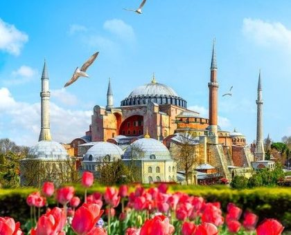 e9eb1ee01911d09d04463cb6354c6d12