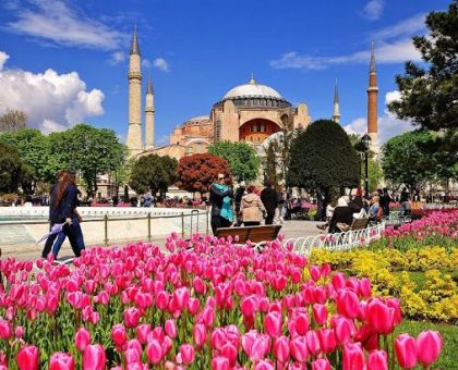 eeabfe86ff177c479858dc783f17a958